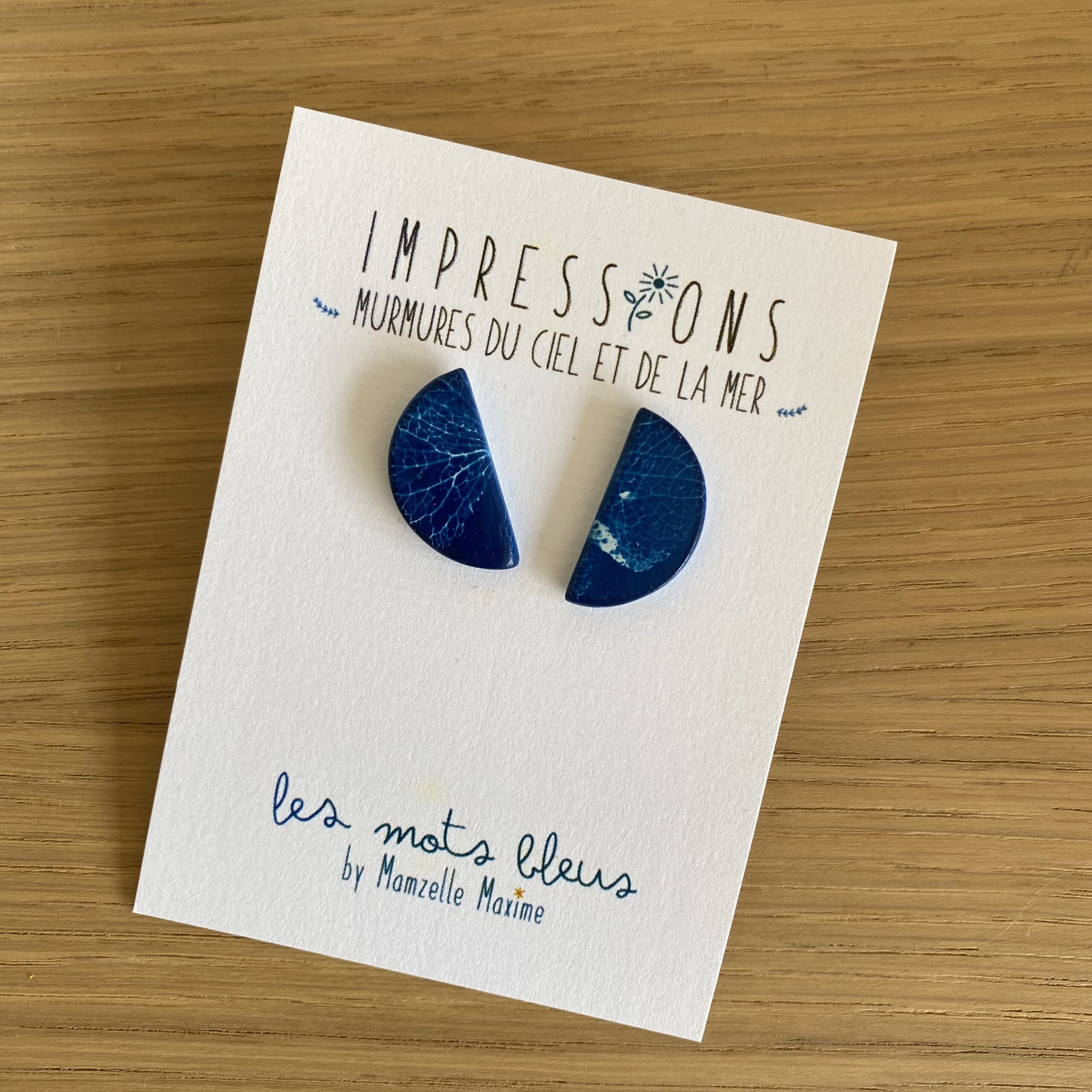 Les Mots Bleus - BO perceuses Hortensia