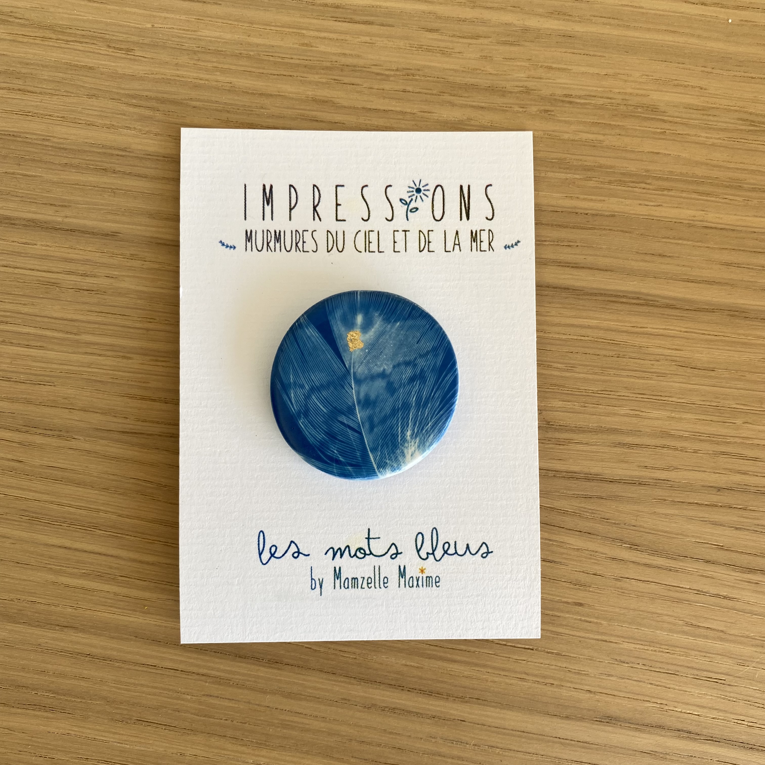 Les Mots Bleus - Broche Plume