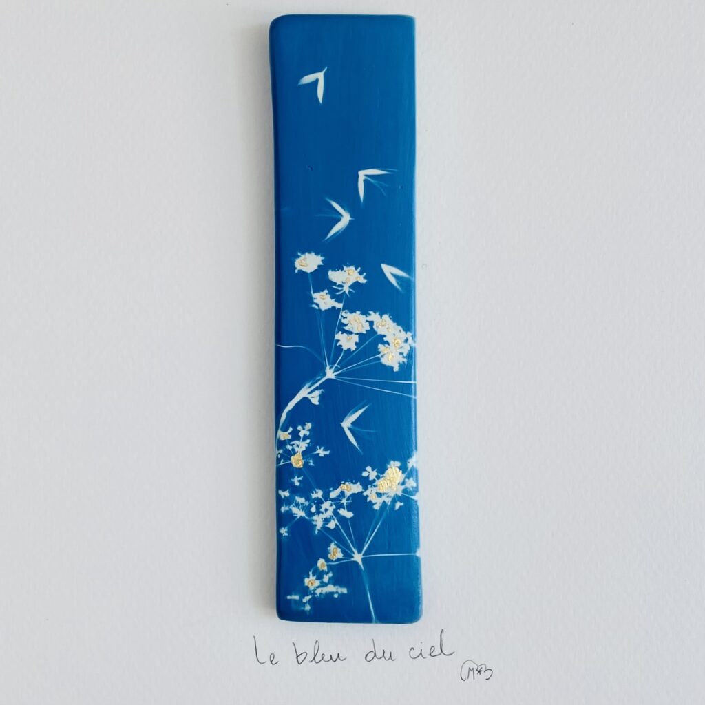 Les Mots Bleus - Illu 'Le bleu du ciel'