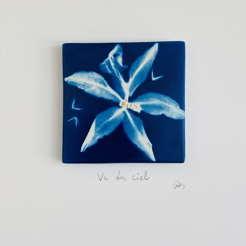 Les Mots Bleus - Illu 'Vu du ciel'