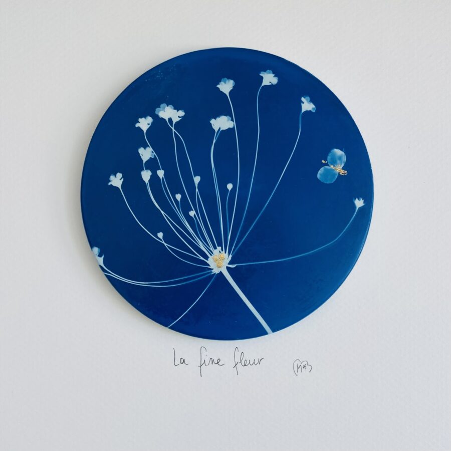 Les Mots Bleus - Illu 'La fine fleur'