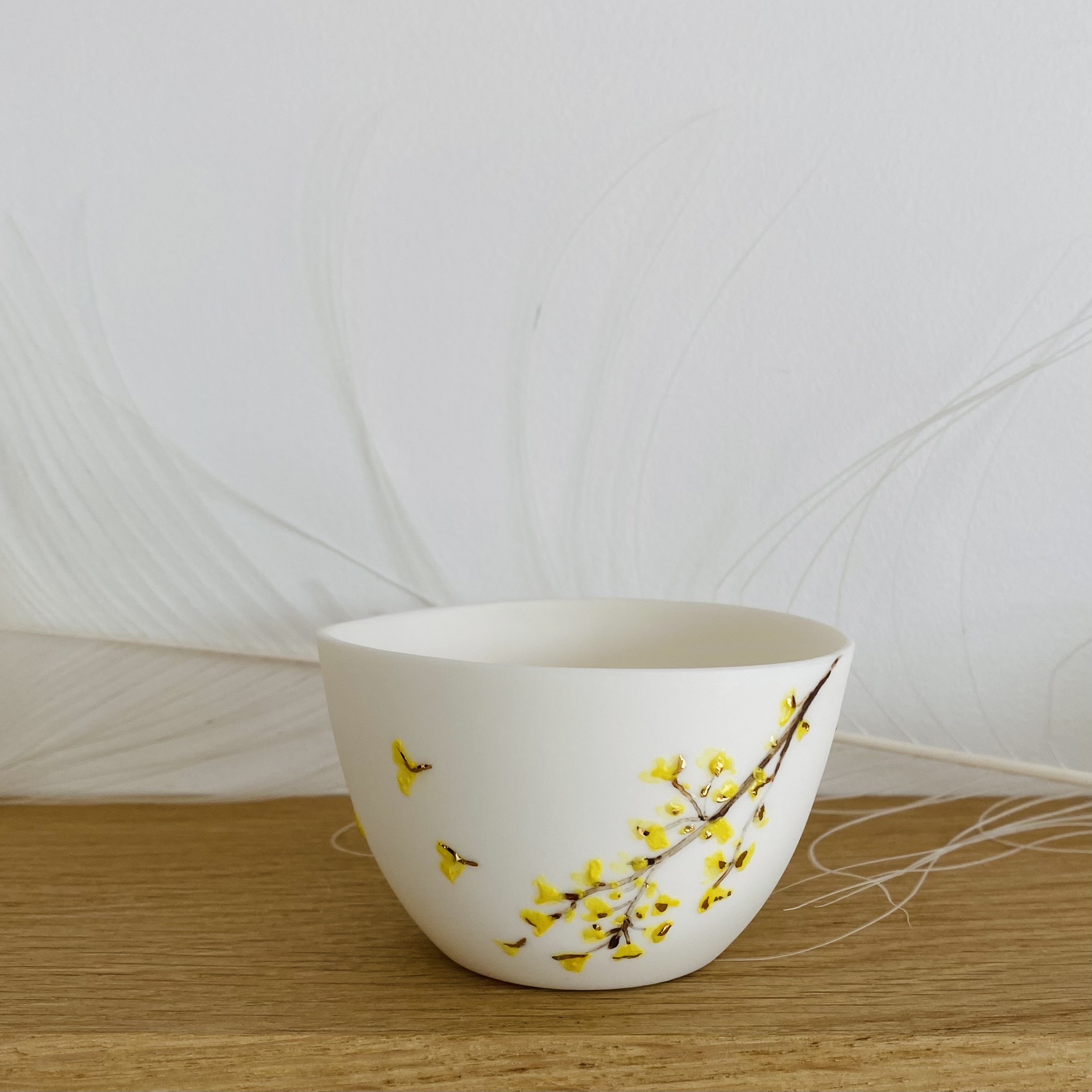 Herbier - Ginkgo Biloba