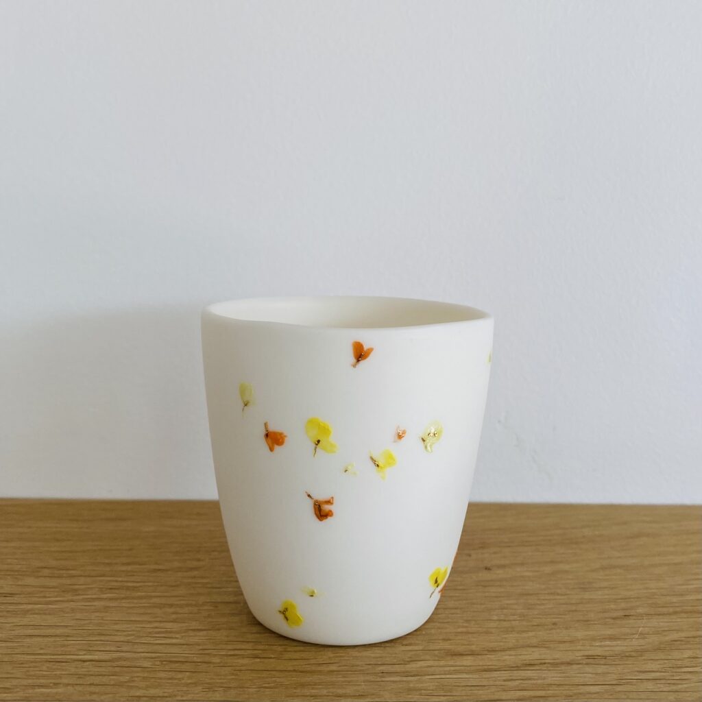 Herbier Ginkgo - Imparfait