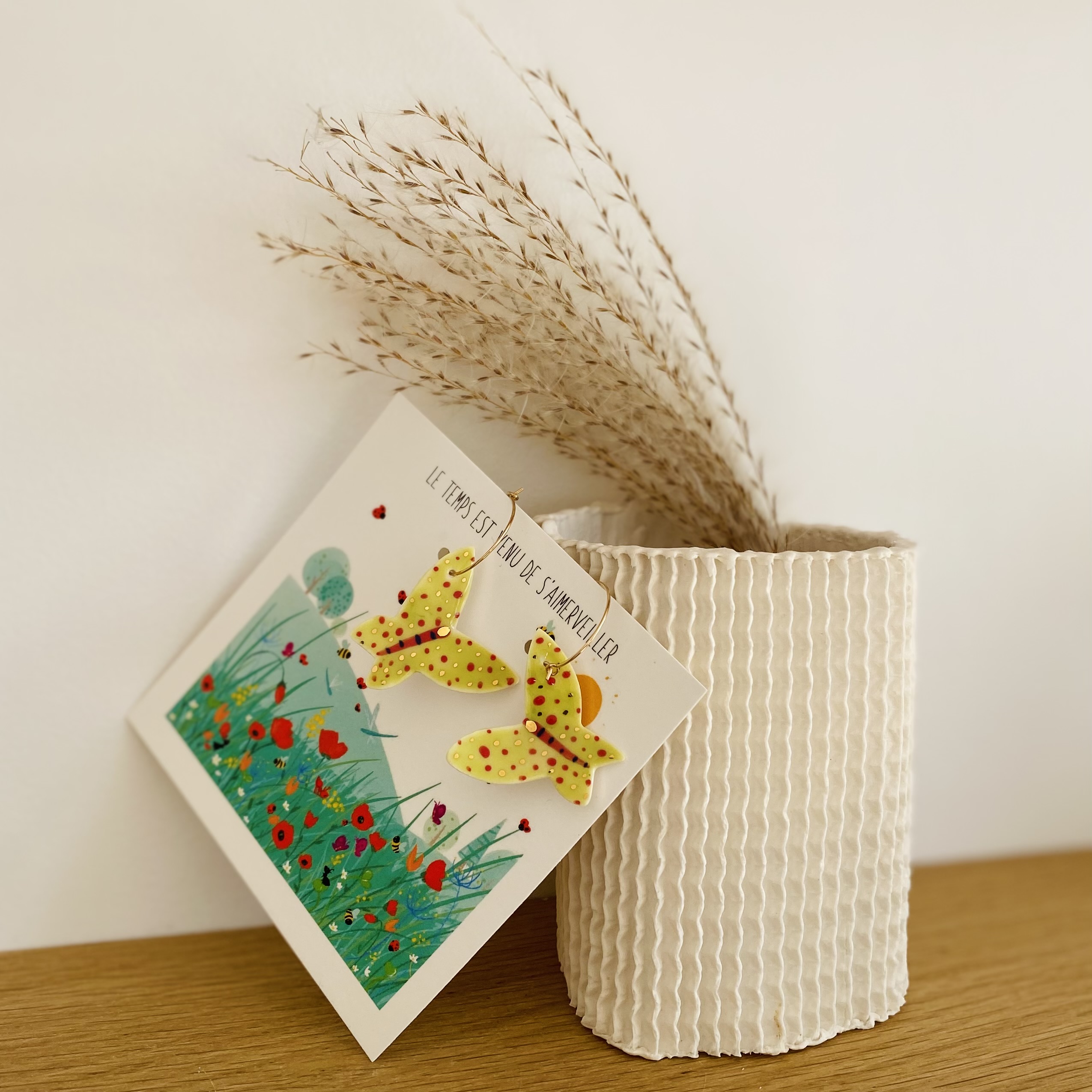 Effet Papillons - créoles