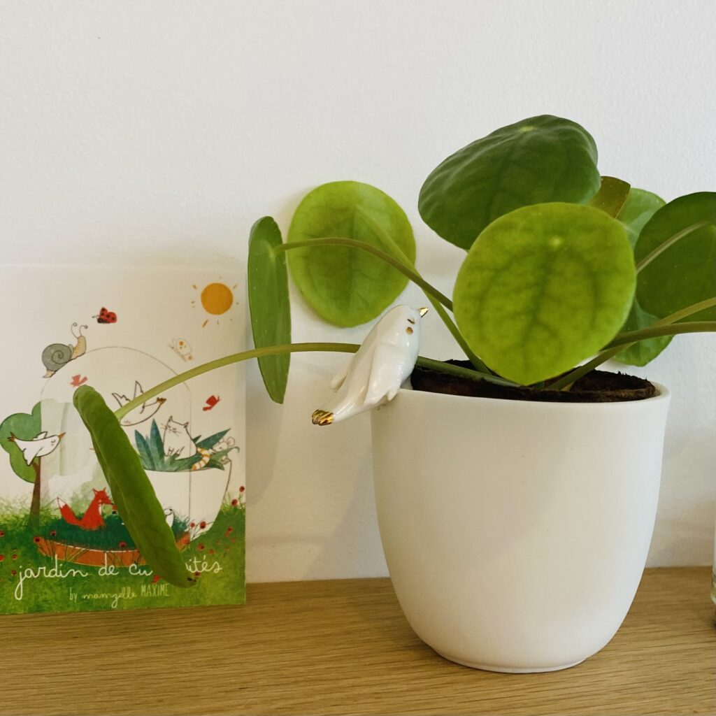 Jardinière * Cléo l'Oiseau