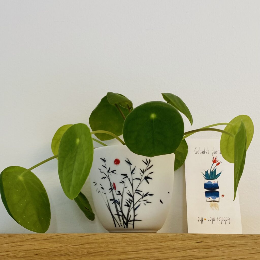 Gobelet Planté * Bambous
