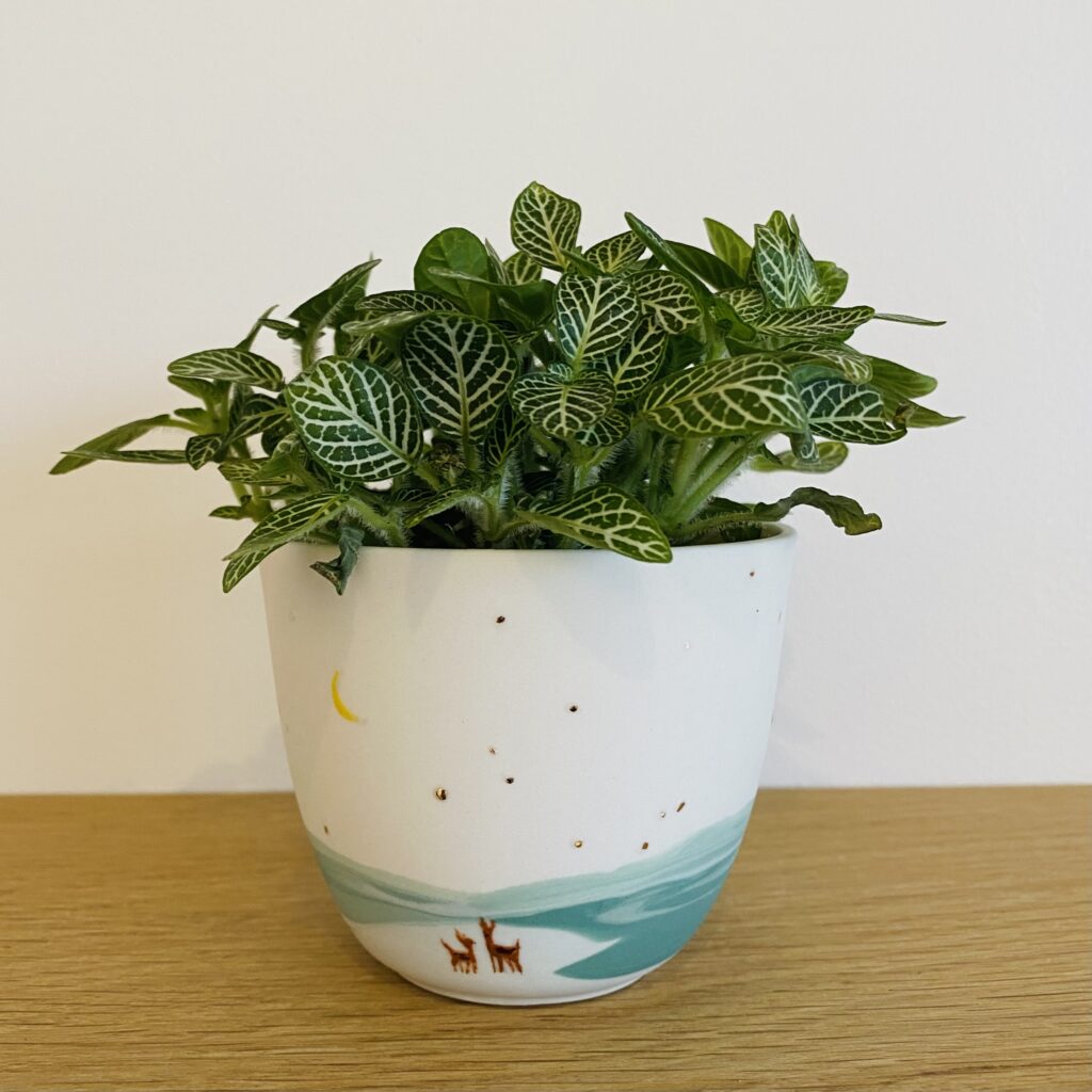 Le lac gelé - Gobelet planté