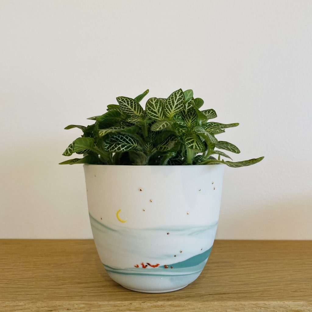 Renards des neiges - Gobelet planté