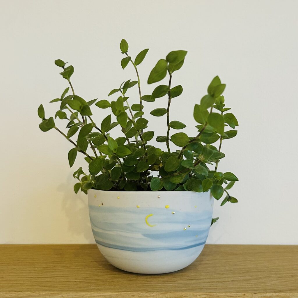 Nuit étoilée - Jardinière