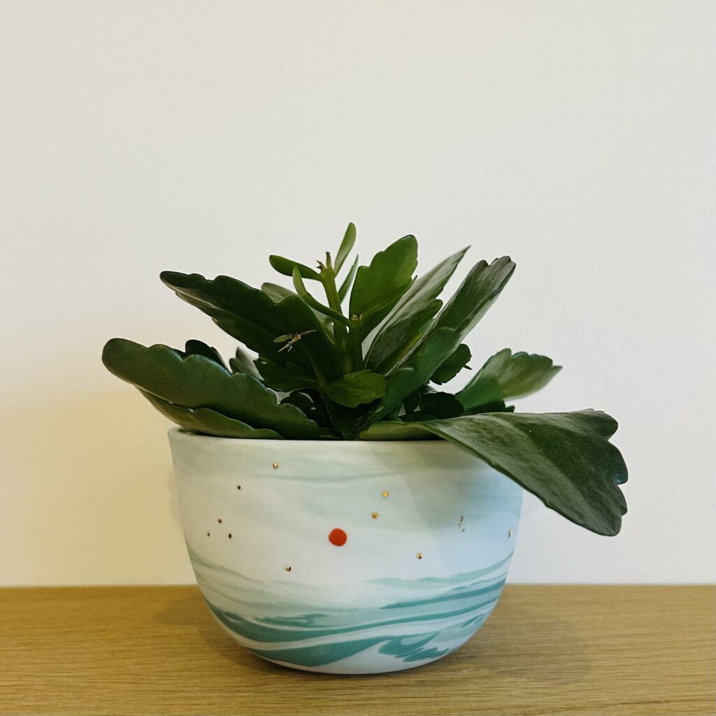 Soleil couchant - Jardinière