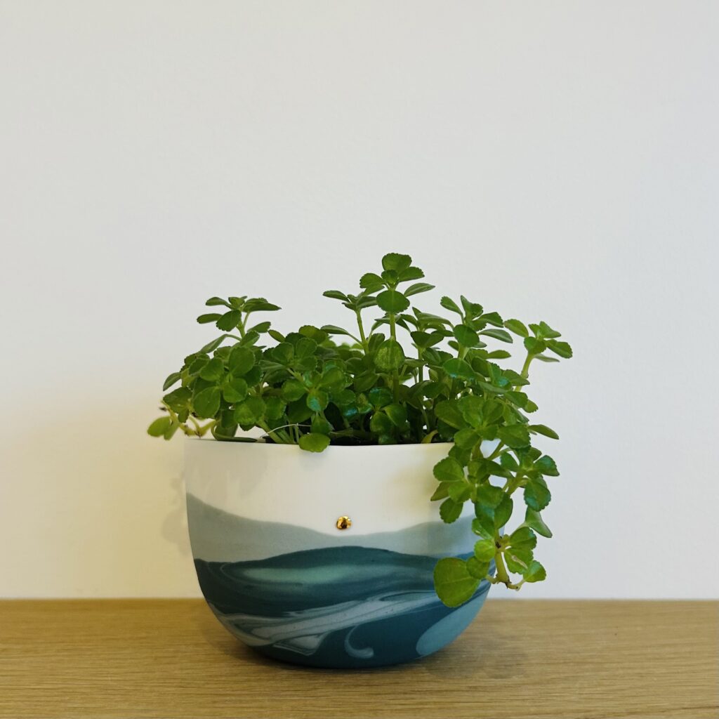 Verte colline - Jardinière