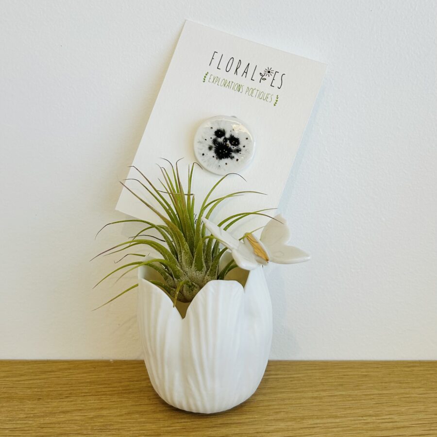 Explorations Poétiques