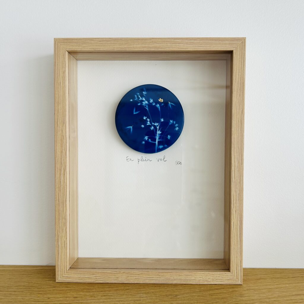 Les Mots Bleus - En plein vol