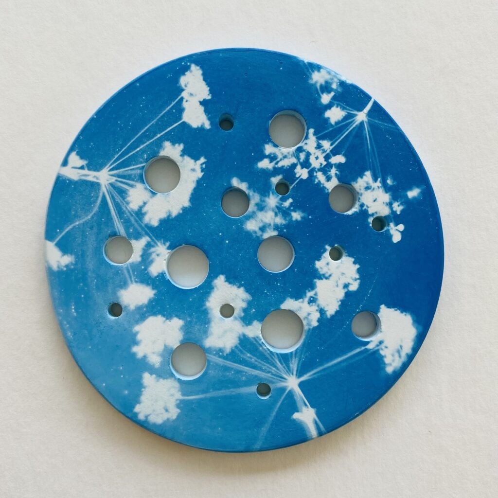 Les Mots Bleus - Cercle magique 'Ombelles'