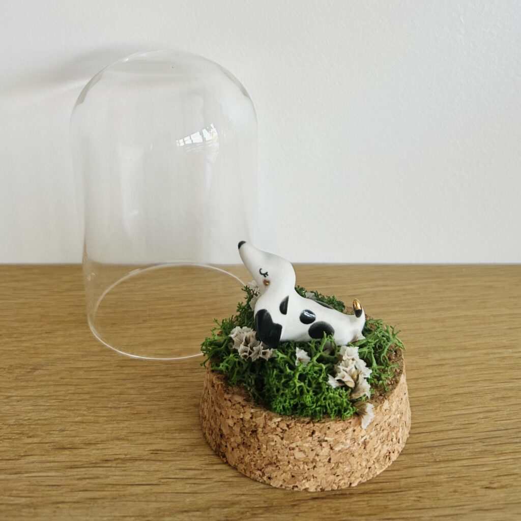 Marcel le teckel * M