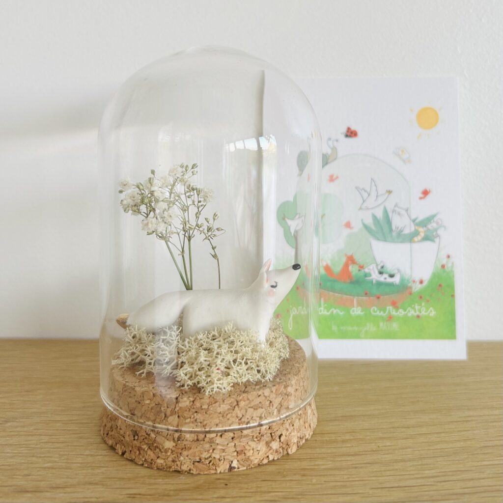 Edouard le Renard * M