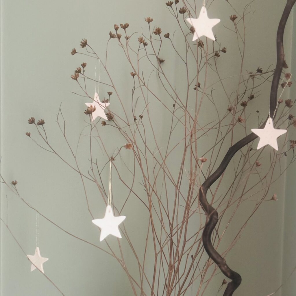 Poussières d'étoiles
